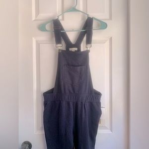 Frye & Co. Navy Overalls